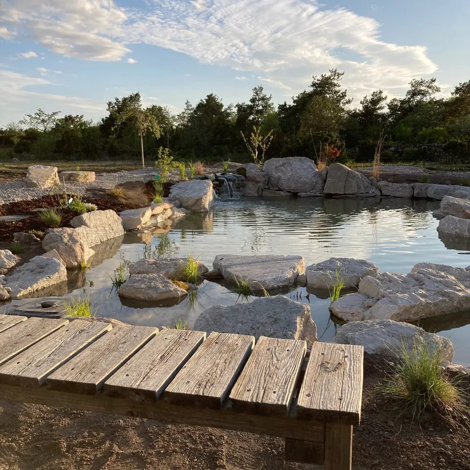 En träspång vid naturpoolen på Gotland, med natursten, växter och ett litet vattenfall i varmt kvällsljus